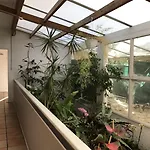 Отель Paradis 3*
