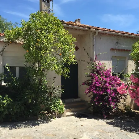 Paradis Bormes-les-Mimosas