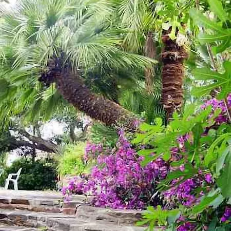 Paradis فندق بورم لي ميموزا