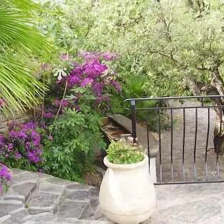 فندق Paradis بورم لي ميموزا