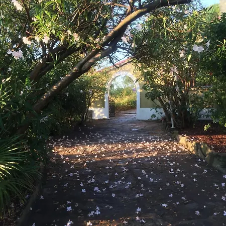 Paradis 3* بورم لي ميموزا