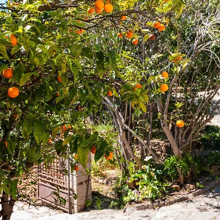 Paradis Bormes-les-Mimosas