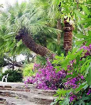 Hotel Paradis Bormes-les-Mimosas