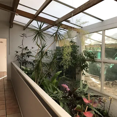 Hotel Paradis Bormes-les-Mimosas