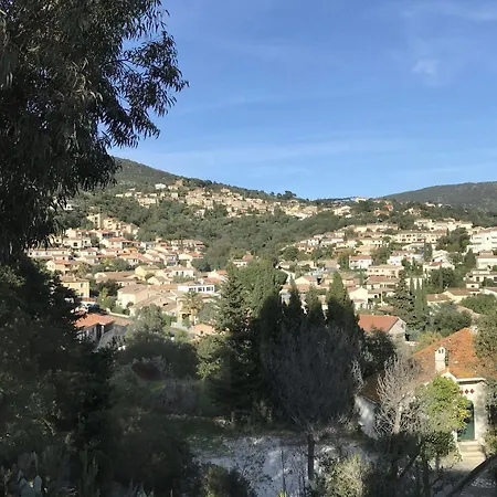 Paradis Bormes-les-Mimosas